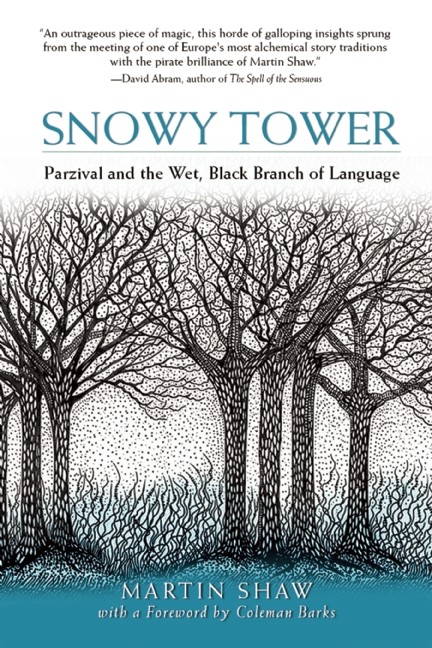 Snowy Tower: Parzival and the Wet, Black Branch of Language