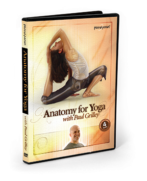 Anatomy for Yoga DVD