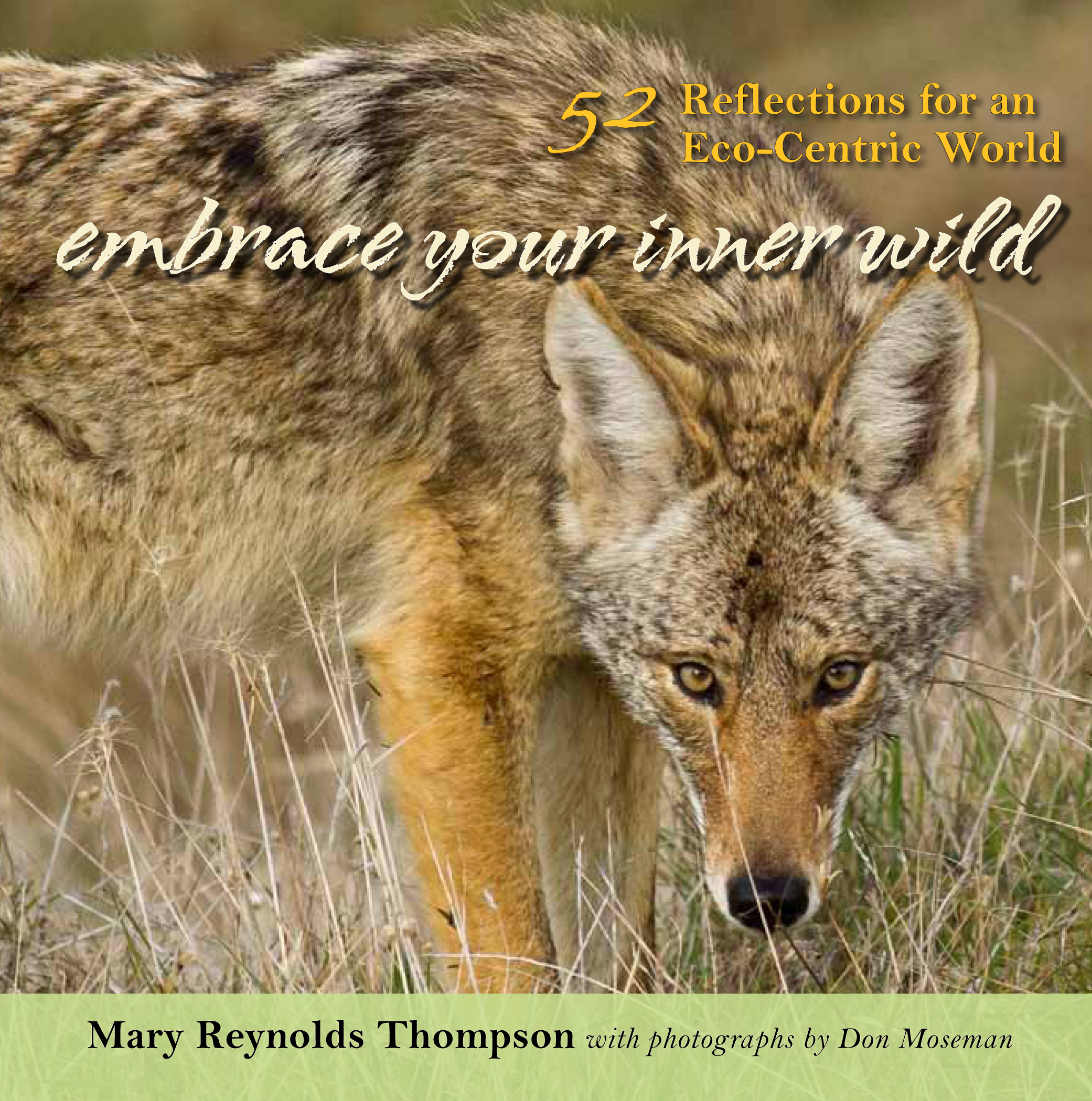 Embrace Your Inner Wild: 52 Reflections for an Eco-Centric World