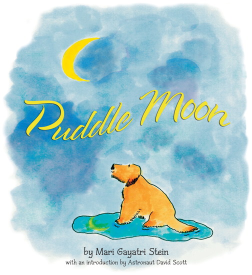 Puddle Moon