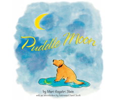 Puddle Moon