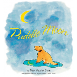 Puddle Moon