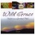 Wild Grace - Nature as a Spiritual Path